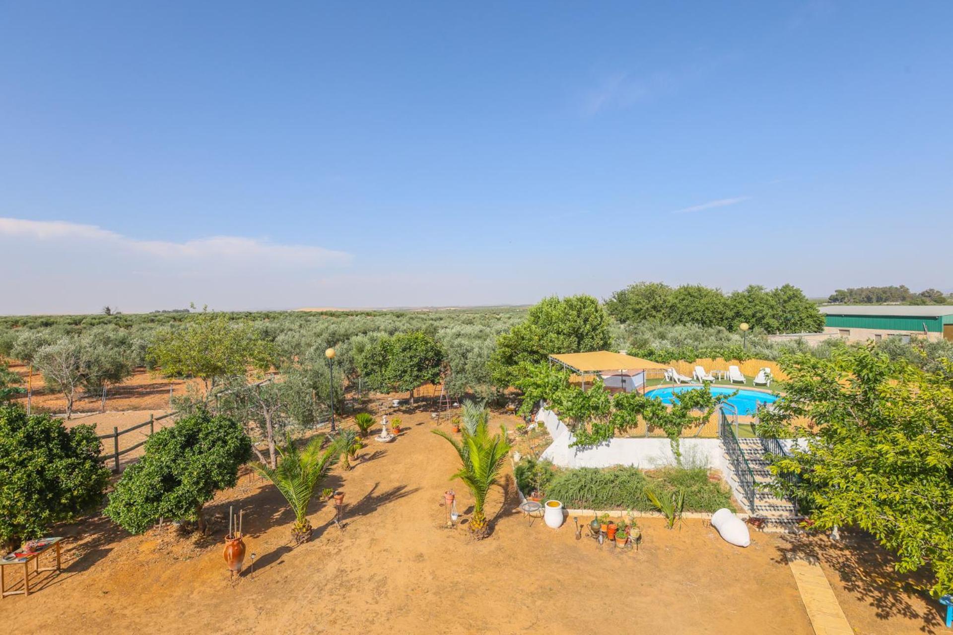 Casa Rural Los Miradores Марчена Экстерьер фото